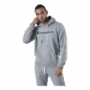 Champion Hooded Sweatshirt Grey