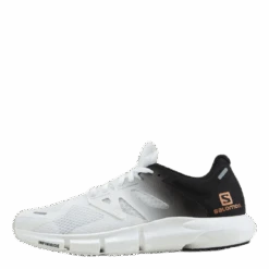 Salomon Predict 2 White
