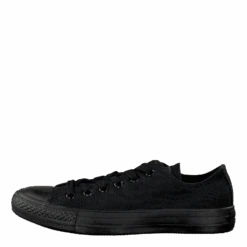 Converse All Star Canvas Ox