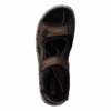 ECCO Offroad Espresso/ Cocoa Brown/ Black