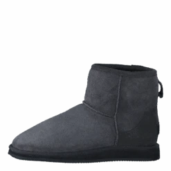 Shepherd Laura Asphalt