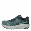 Icebug Arcus W Rb9x Gtx Green/stone