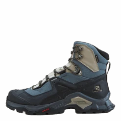 Salomon Quest Element Gtx W Ebony/rainy Day/stormy Weather