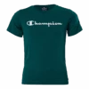 Champion Crewneck T-shirt Rain Forest