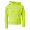 Champion Hooded Sweatshirt Sulphur Spring
