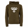 Hummel Hmlcuatro Hoodie Dark Olive