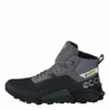 Ecco Biom 2.1 X Mountain W Black/steel