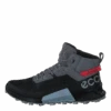Ecco Biom 2.1 X Mountain M Black/steel