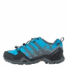 ADIDAS Terrex Swift R2 GTX Shoes Blurus/Grefou/Cblack