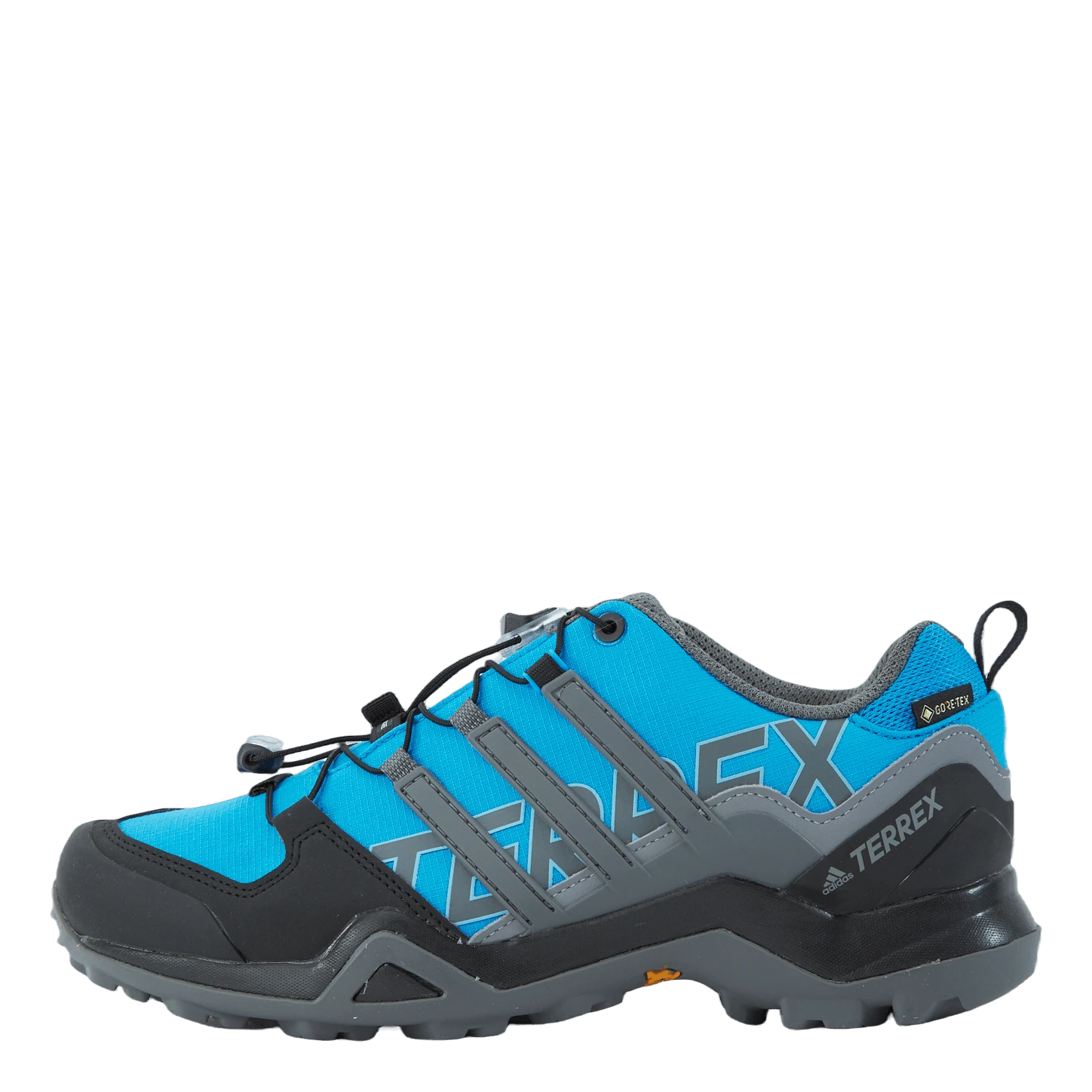 ADIDAS Terrex Swift R2 GTX Shoes Blurus/Grefou/Cblack