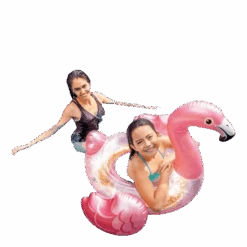 Intex Glitter Flamingo Tube Pink