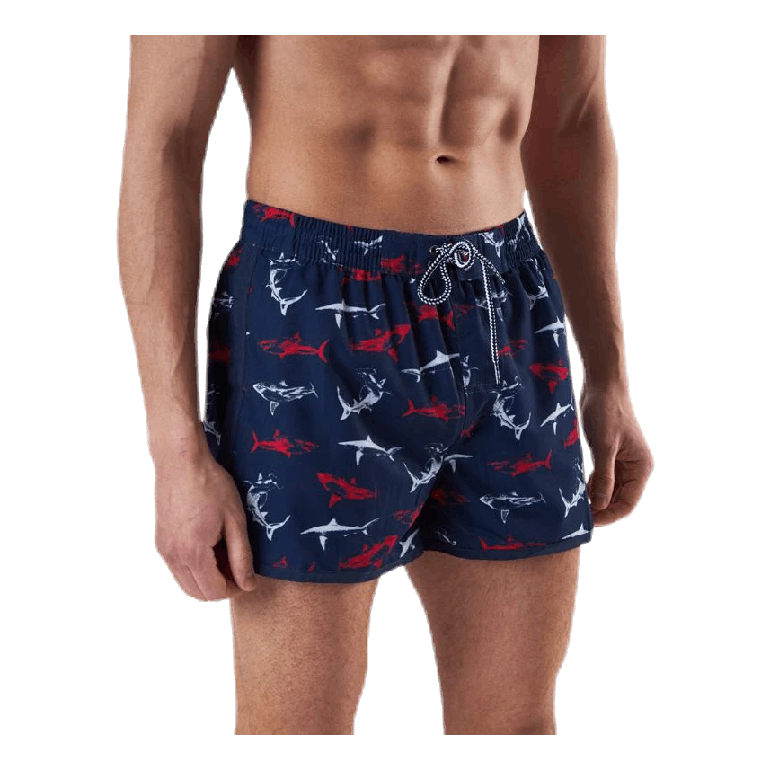 Aquarapid Kawi Shorts Blue - Image 4