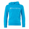 Champion Legacy Hoodie Jr Turquoise