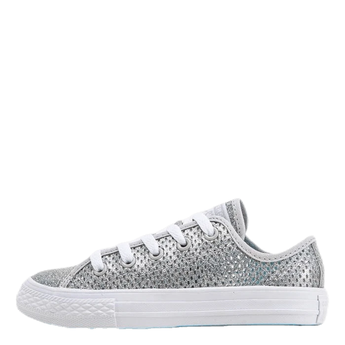 Converse Chuck Taylor All Star Mesh Silver